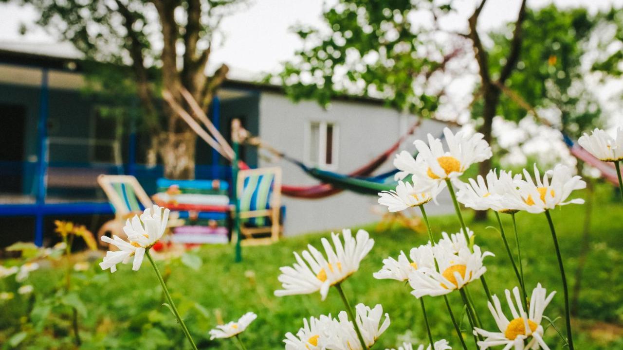 Bebo Babu Guest House 库塔伊西 外观 照片
